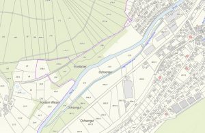 Kartenausschnitt mit Sägmühlekanal der Reichenbacher Säge (Murgbrückensägmühle). 
Quelle: Geo-Portal Baden-Württemberg
